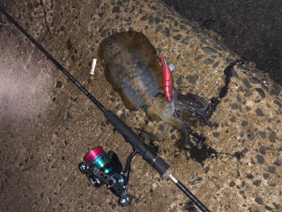 親父たちの釣行　大阪岬町編‼…