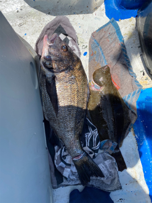 梅雨明けの釣り