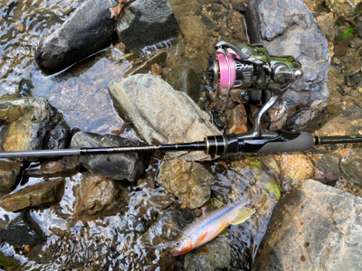 川魚をスプーンで釣る