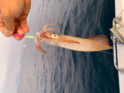 マイボートでデイイカメタルゲーム