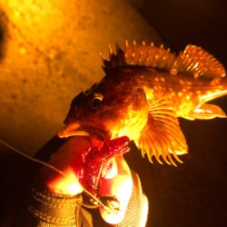 ライトロックゲーム