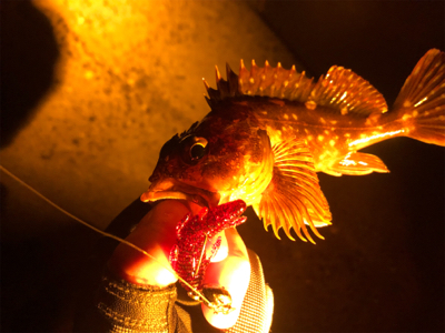 ライトロックゲーム