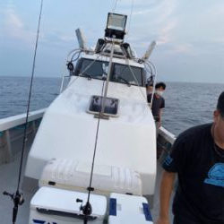 博多夜焚きイカメタル爆釣