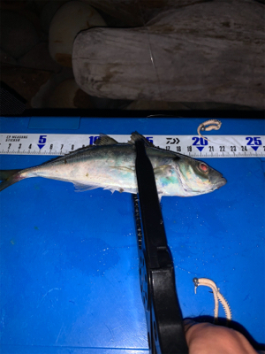 梅雨明けフロート