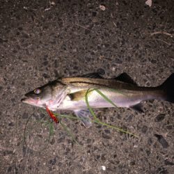 深夜の単発バイト!