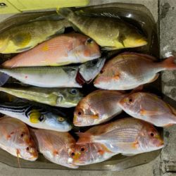 マイボート釣行、友人とアマダイ狙い!