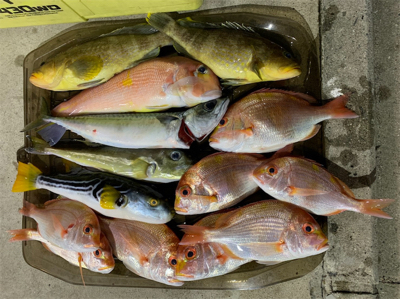 マイボート釣行、友人とアマダイ狙い!