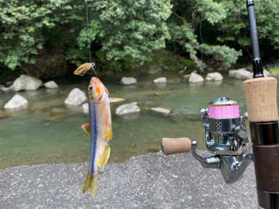 カワムツをスプーンで釣る