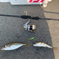 早朝 短時間釣行！