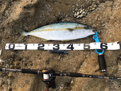 ベイトロッドで『ショア』ジギング