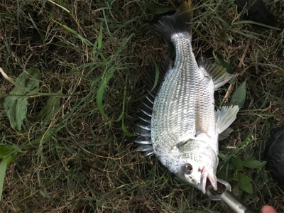 ポイントは大事！