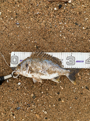 梅雨明け一発目！