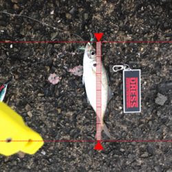 条件は整いました…。