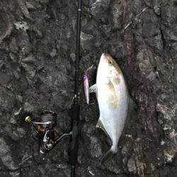 灼熱　青物修行