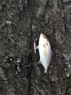 灼熱　青物修行