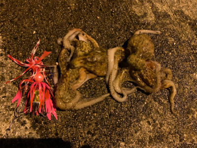 キスを狙うつもりが、、