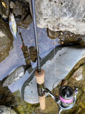 川魚　スプーン釣り