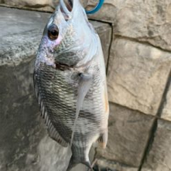 ナイトチニング