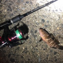 まさかのゲスト登場