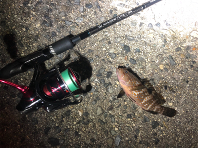 まさかのゲスト登場