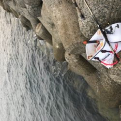 テトラでフカセ釣り