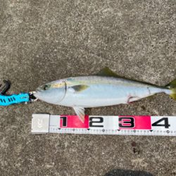 ショアジギで三目達成