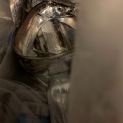 今年初タチウオ