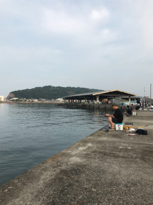 アジを求めて豊浜へ‼️