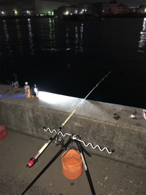 久々の投げ釣りとサビキ