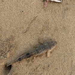 連休初日から混んでます