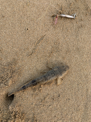 連休初日から混んでます