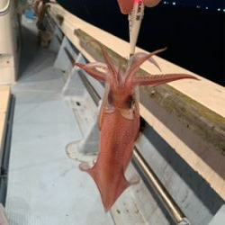 若狭湾イカメタル