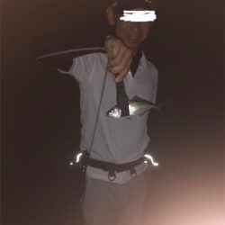 超ーー久々の投稿！