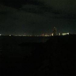 淀川ブリームゲーム