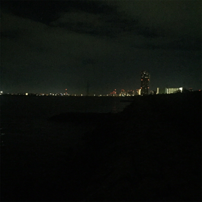 淀川ブリームゲーム