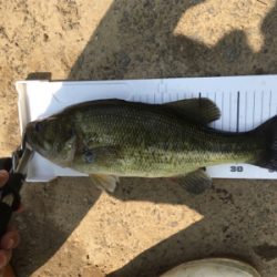 サイトと巻物で