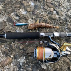 灼熱ショアジギング