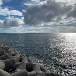 タチウオ釣れへんかな?