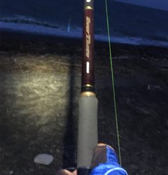 やっとお父さん