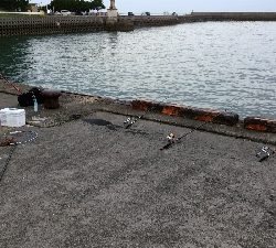 キス狙ってたらまさかのタコ タコの神様ありがとう