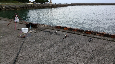 キス狙ってたらまさかのタコ タコの神様ありがとう