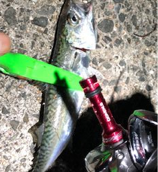 熱帯夜のサバゲー