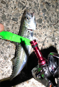 熱帯夜のサバゲー