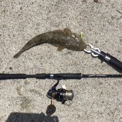 灼熱サーフ河口ランガン