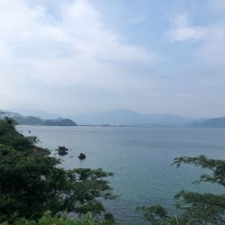 アコウを求めて