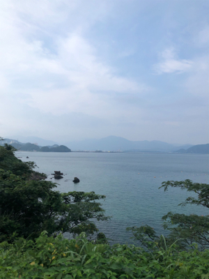 アコウを求めて