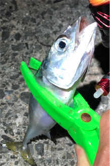 まぢ暑いモーニング