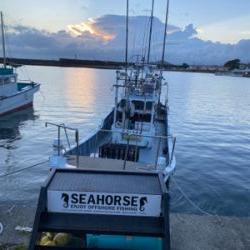 和歌山イカメタル