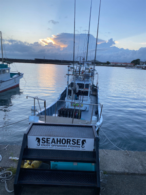 和歌山イカメタル