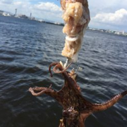 豚バラはどう？